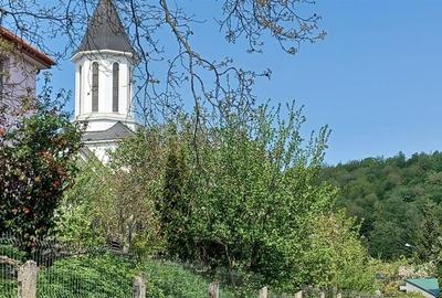 Oportunitate investitie,  4 apartamente la casa, Noua Oportunitate investitie,  4 apartamente la casa, Noua - 5