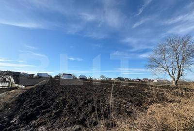 Casă cu 3 camere cu Teren 1800 Mp în Central - 12