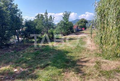 Teren intravilan 812 mp PUZ aprobat utilitati pe teren Talmaciu - 2