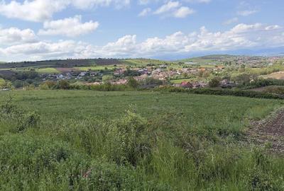 Teren de 2500 mp, în Șura Mare
