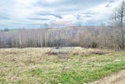 Teren intravilan, zona Casele Micesti - 6