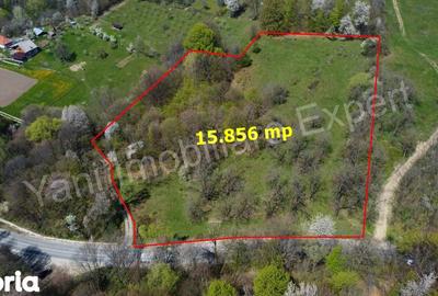 Teren de 15856 mp, în Valea Iașului