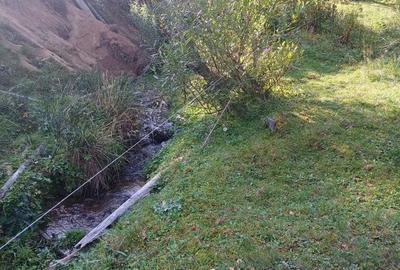 Teren în Măguri - 4