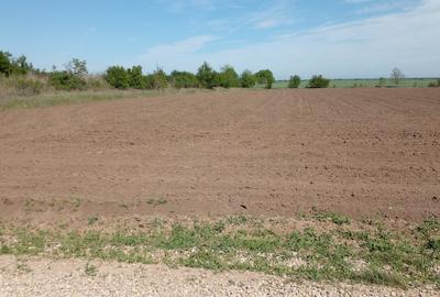 Teren Construcții extravilan de 4881 mp, în Corbeanca Teren Construcții extravilan de 4881 mp, în Corbeanca - 10