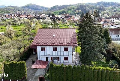 Casă cu 6 camere cu Teren 1632 Mp în Albești - 13