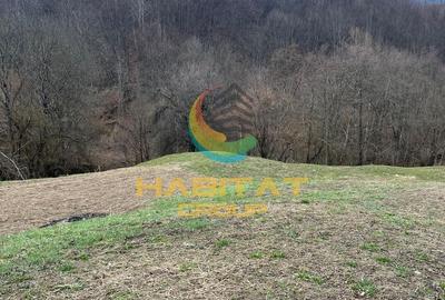 Teren Construcții intravilan de 2798 mp, în Turburea - 6