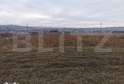 Teren de 5900 mp, în Pătrăuți - 3