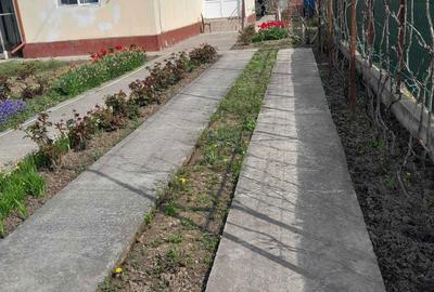 Casă cu 4 camere în Bujoreanca - 2