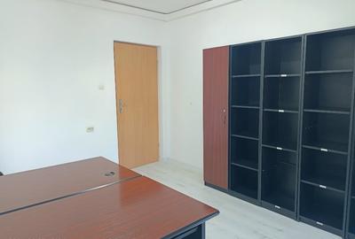 Birouri, 200-400 mp, vila, premium,Craiova, Medicina veche, stradal, la cheie, - 8