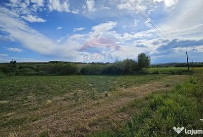 Teren de 12000 mp, în Pădureni (Șendriceni) - 3