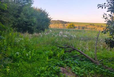 Casă cu 2 camere cu Teren 3500 Mp în Negostina - 5