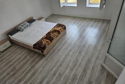 Casa Beregsaul mic+teren 1550 mp - 4