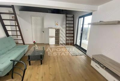 Casa 4 camere,Petfriendly, gradina de 250 Mp,Torontalului - 2