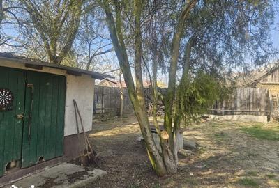 Casă cu 3 camere cu Teren 916 Mp în Sălard - 15