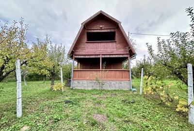 CABANA DE VANZARE, ARDUD-VII