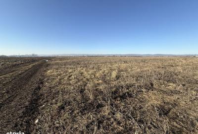 Spațiu comercial, în Central - 1