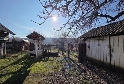 Casă cu 3 camere în Costești - 8