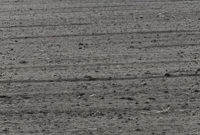 Teren intravilan -Ostratu- - 3