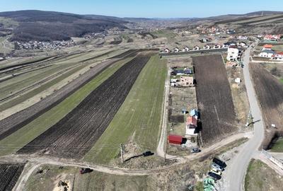 Vand teren 5800 mp la 8 km de centrul Clujului, la intrarea in Poesti. - 7