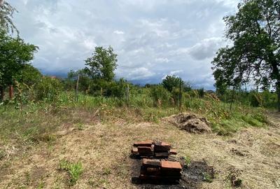 Teren 2133 m? cu utilitati si iesire la drum asfaltat - Clinceni Teren 2133 m? cu utilitati si iesire la drum asfaltat - Clinceni - 16