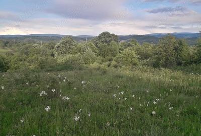 Teren Resita 4350 mp centura Resitei Terova-km 8 negociabil - 5