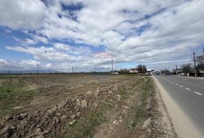 Teren agricol intravilan de 9431 mp, în Bizighești - 4