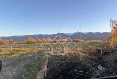 Casa de vacanta in Cartisoara, Transfagarasan - teren 971 mp, 8 camere - 11