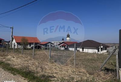 Spațiu comercial, în Paleu