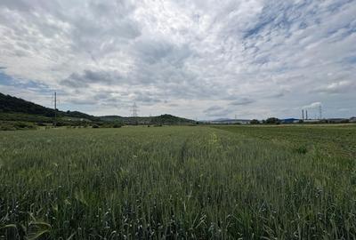 Teren Construcții intravilan de 4200 mp, în Crișeni - 3