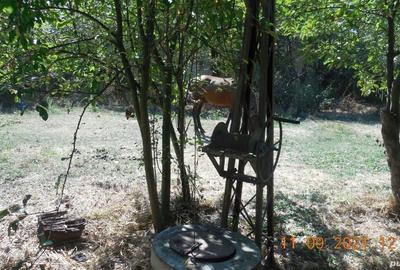 Casă cu 2 camere în Central - 1