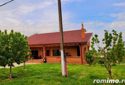 Domeniu, 9,5 ha, 25 KM de Timisoara - 3