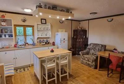 Casa de vacanta cu gradina de 1000mp, in Stupini, Brasov - 1