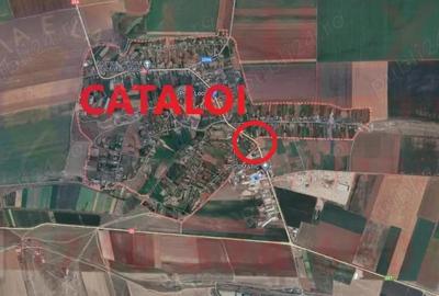 Teren de 806 mp, în Cataloi