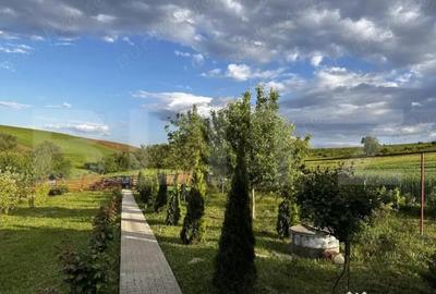 Casă cu 2 camere cu Teren 1751 Mp în Bogata - 4