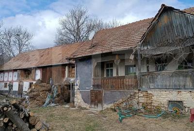 Casa veche cu teren generos de 5.300 mp - oportunitate de investitie in Baciu - 2