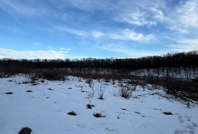 Teren de 1200 mp, în Brănești