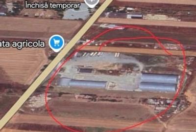 Teren Construcții intravilan de 40000 mp, în Agigea - 4