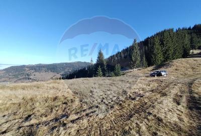 Teren 31,461mp Panaci / Prelungirea Ialovita - 16