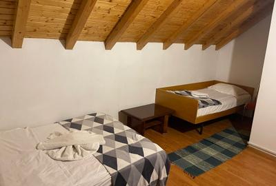 Casă cu 5 camere cu Teren 1371 Mp în Ortoaia - 9