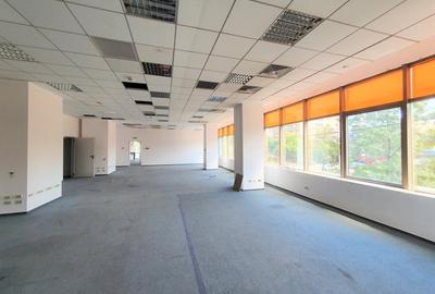 Birou, de 200 mp, în Nerva Traian - 3