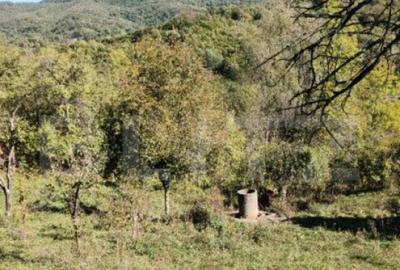 Teren cu priveli?te superba , livada ?i poten?ial casu? - 2