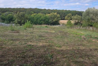 Spațiu comercial, în Hârsa - 2