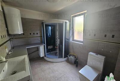 Vila individuala regie proprie 5 camere in Ciutaci (Domnesti) - 8