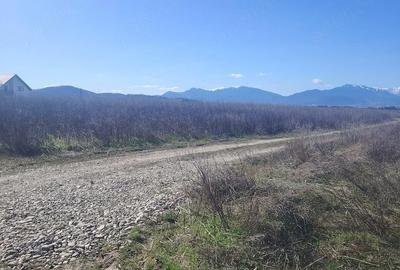 Teren de 600 mp, în Bod