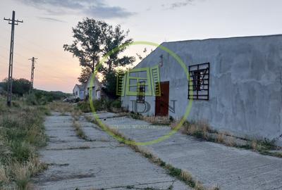 Spațiu industrial, de 7,000 mp, în Pielești - 1