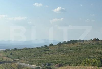 Casa cu 2 camere, suprafata teren 1700mp + super priveliste , Seciu - 11