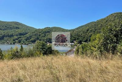 Teren Construcții intravilan de 2580 mp, în Eșelnița - 10