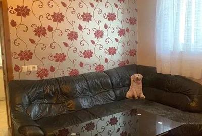 Apartament cu 2 camere pet friendly, 45 mp, situat la casa in Centrul Civic. - 1