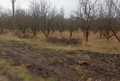 Teren în Central - 1