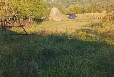 Casă cu 4 camere cu Teren 1000 Mp în Poienari (Poienarii de Argeș) - 8